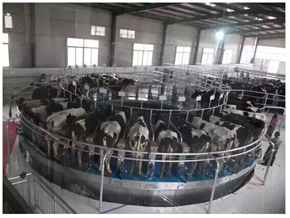 轉(zhuǎn)盤式擠奶臺